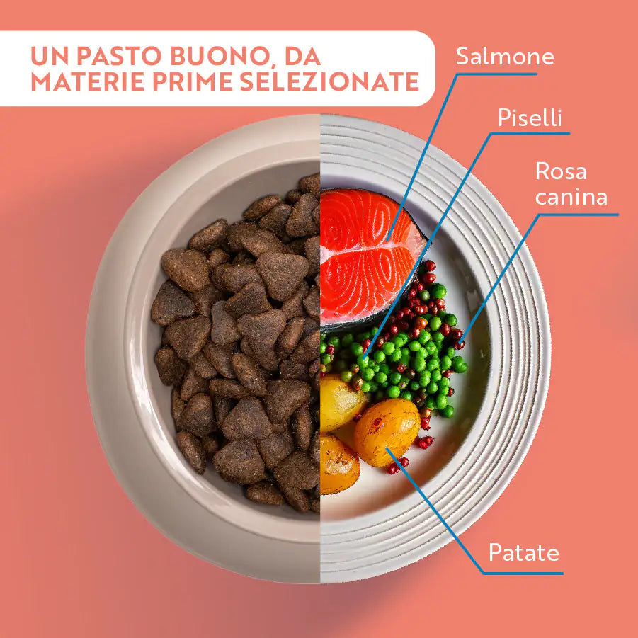 Monopro lo specialista Adult Medium/Large Grain Free Salmone   bauzaarit.myshopify.com