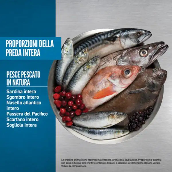 Orijen Six Fish Dog Food   bauzaarit.myshopify.com
