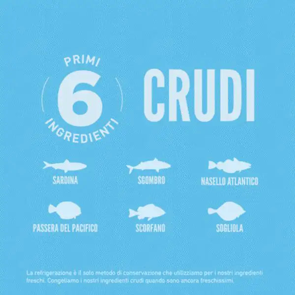 Orijen Six Fish Dog Food   bauzaarit.myshopify.com