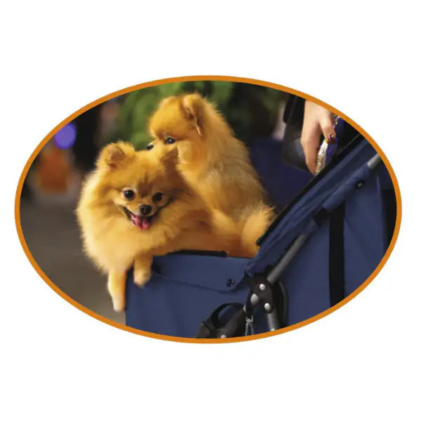 Passeggino per cani Croci   bauzaarit.myshopify.com