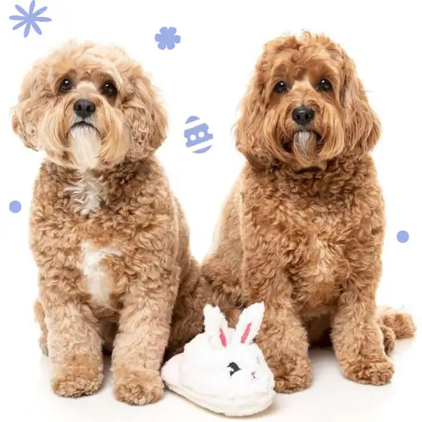 Peluche gioco per cani con squeaker FuzzYard   bauzaarit.myshopify.com