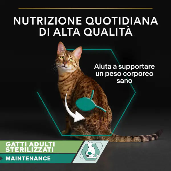 Purina Pro Plan Cat Adult Sterilised Maintenance Multipack in gelatina 10x85g   bauzaarit.myshopify.com