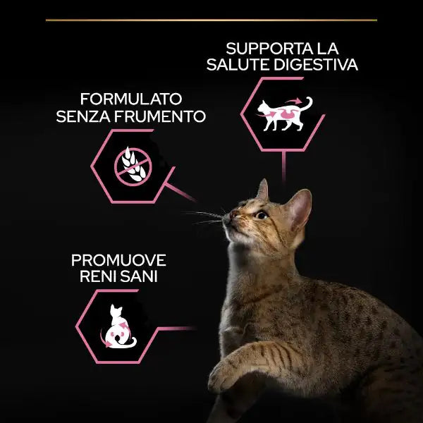 Purina Pro Plan Delicate Digestion Sterilised Adult 1+ con Pollo   bauzaarit.myshopify.com