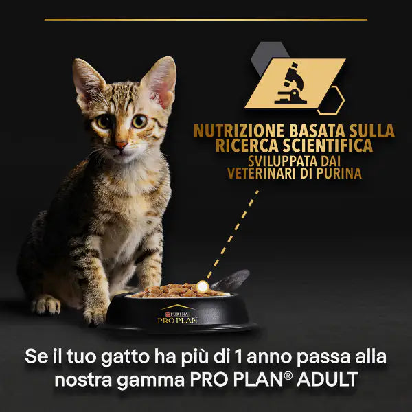 Purina Pro Plan Kitten Healthy Start Umido Gatti in Salsa 85 g   bauzaarit.myshopify.com