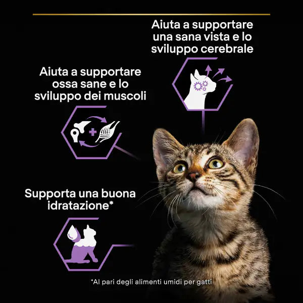 Purina Pro Plan Kitten Healthy Start Umido Gatti in Salsa 85 g   bauzaarit.myshopify.com
