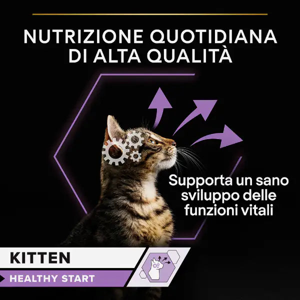 Purina Pro Plan Kitten Healthy Start Umido Gatti in Salsa 85 g   bauzaarit.myshopify.com