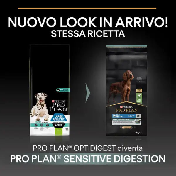 Purina Pro Plan Large Adult Athletic Sensitive Digestion Agnello e Riso   bauzaarit.myshopify.com
