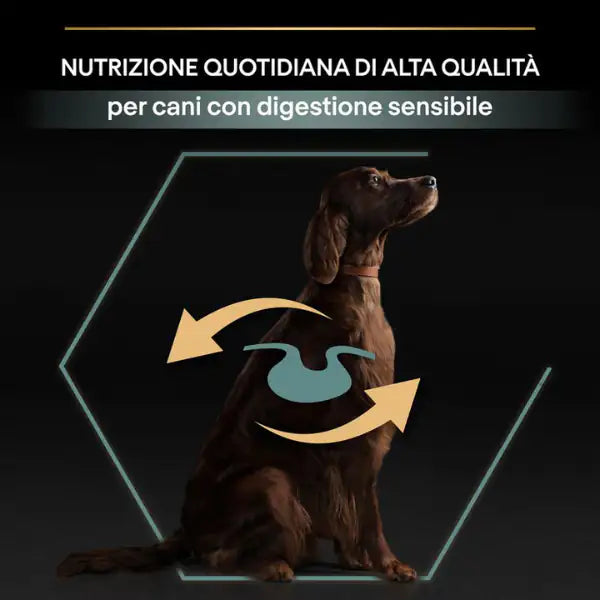 Purina Pro Plan Large Adult Athletic Sensitive Digestion Agnello e Riso   bauzaarit.myshopify.com