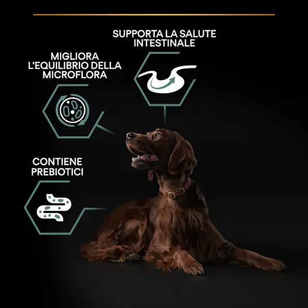 Purina Pro Plan Large Adult Athletic Sensitive Digestion Agnello e Riso   bauzaarit.myshopify.com