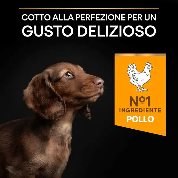 Purina Pro Plan Large Athletic Puppy Healthy Start Crocchette per cane   bauzaarit.myshopify.com