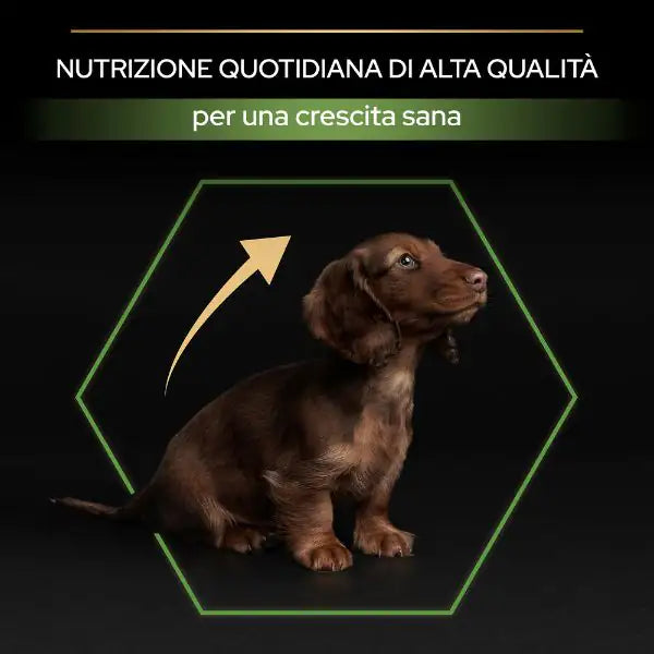 Purina Pro Plan Large Athletic Puppy Healthy Start Crocchette per cane   bauzaarit.myshopify.com