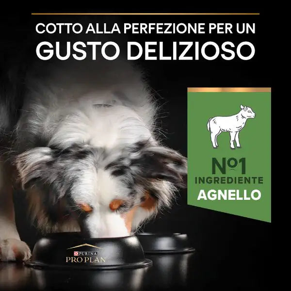 Purina Pro Plan Sensitive Digestion Medium Adult Crocchette Cane Agnello   bauzaarit.myshopify.com