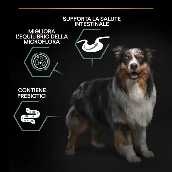 Purina Pro Plan Sensitive Digestion Medium Adult Crocchette Cane Agnello   bauzaarit.myshopify.com