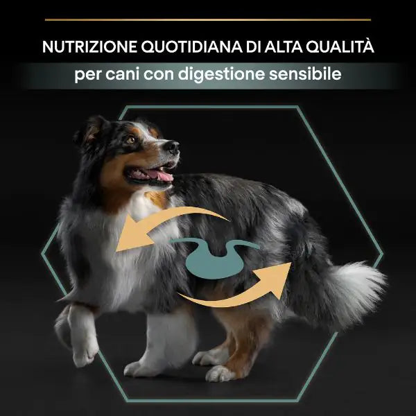 Purina Pro Plan Sensitive Digestion Medium Adult Crocchette Cane Agnello   bauzaarit.myshopify.com