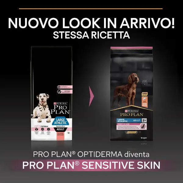 Purina Pro Plan Sensitive Skin Large Athletic Adult Crocchette Cane Salmone   bauzaarit.myshopify.com