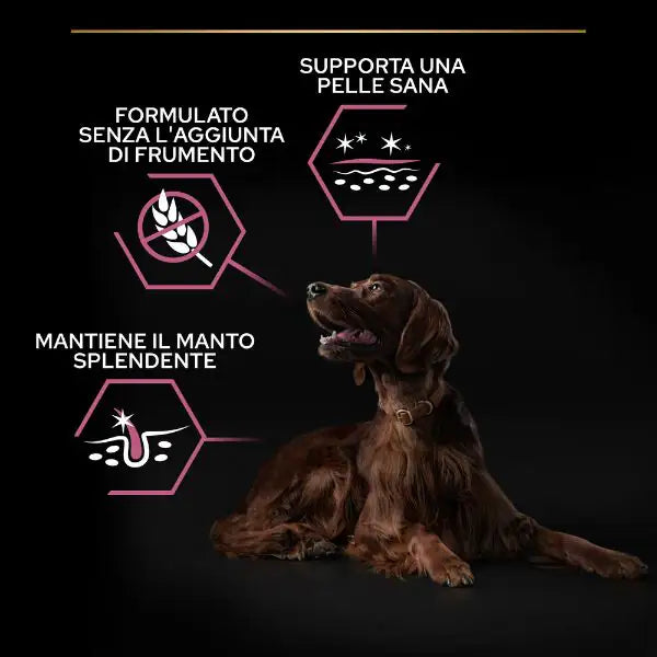 Purina Pro Plan Sensitive Skin Large Athletic Adult Crocchette Cane Salmone   bauzaarit.myshopify.com