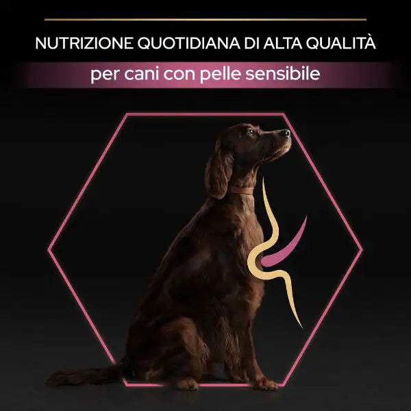 Purina Pro Plan Sensitive Skin Large Athletic Adult Crocchette Cane Salmone   bauzaarit.myshopify.com