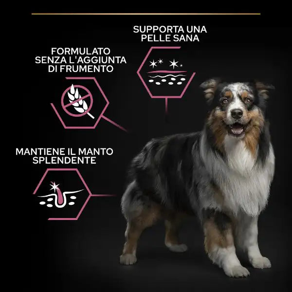 Purina Pro Plan Sensitive Skin Medium Adult Crocchette per Cane Salmone   bauzaarit.myshopify.com