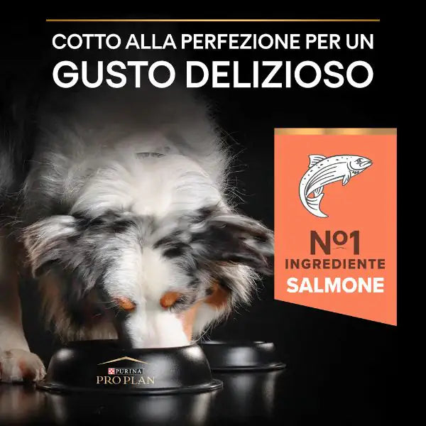 Purina Pro Plan Sensitive Skin Medium Adult Crocchette per Cane Salmone   bauzaarit.myshopify.com