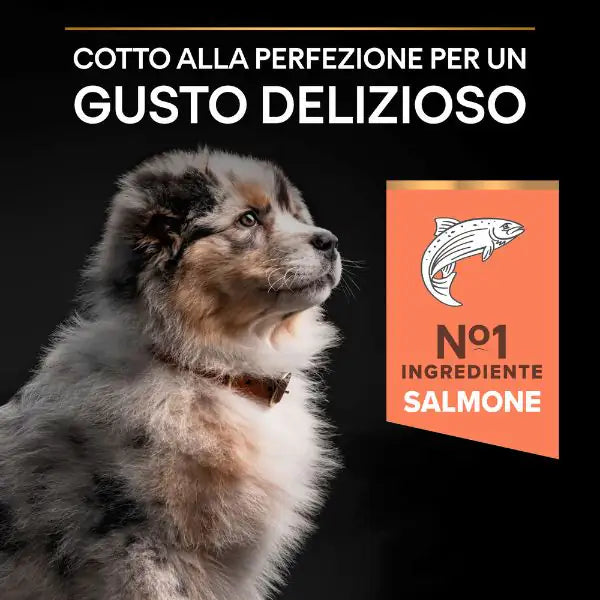 Purina Pro Plan Sensitive Skin Medium Puppy Crocchette Cane Salmone   bauzaarit.myshopify.com