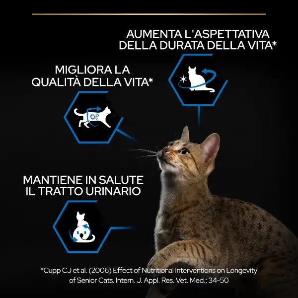 Purina Pro Plan Sterilised senior 7+ Crocchette Gatto Sterilizzato con tacchino   bauzaarit.myshopify.com