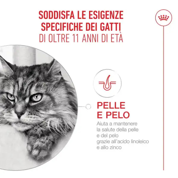 Royal Canin Ageing +12   bauzaarit.myshopify.com