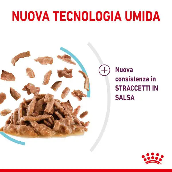 Royal Canin Cat Sensory Feel 85 gr   bauzaarit.myshopify.com