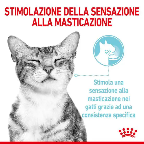Royal Canin Cat Sensory Feel 85 gr   bauzaarit.myshopify.com