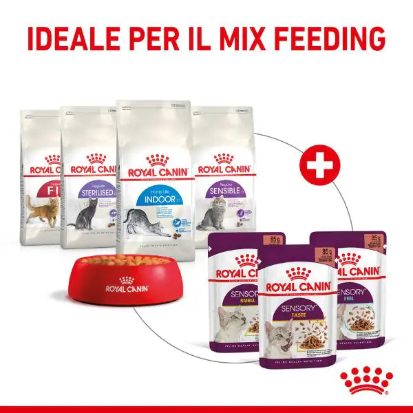 Royal Canin Cat Sensory Taste 85 gr   bauzaarit.myshopify.com
