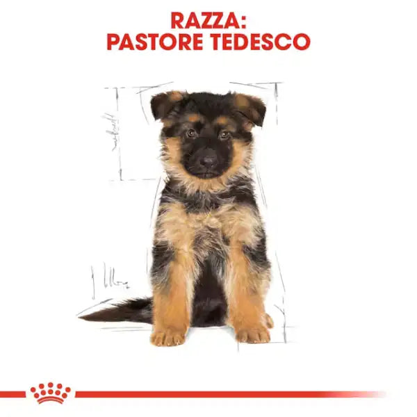 Royal Canin German Shepherd Puppy pastore tedesco   bauzaarit.myshopify.com