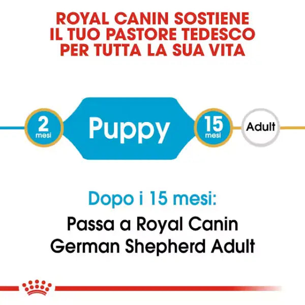 Royal Canin German Shepherd Puppy pastore tedesco   bauzaarit.myshopify.com
