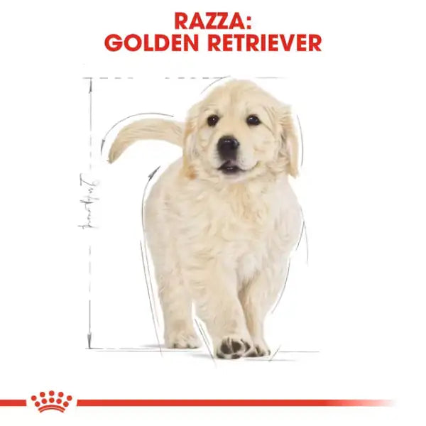 Royal Canin Golden Retriever Puppy   bauzaarit.myshopify.com