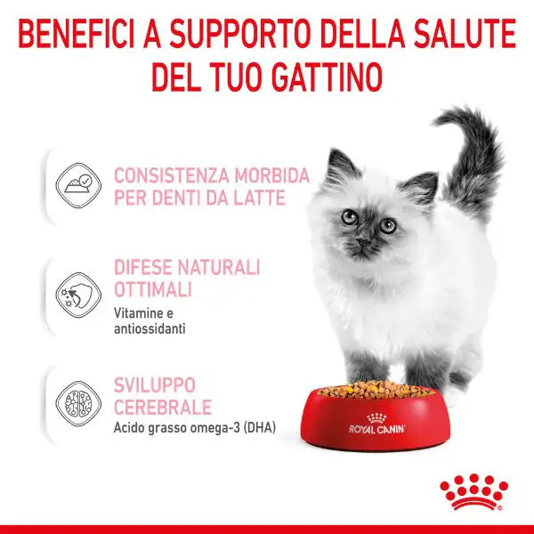Royal Canin Kitten Patè   bauzaarit.myshopify.com