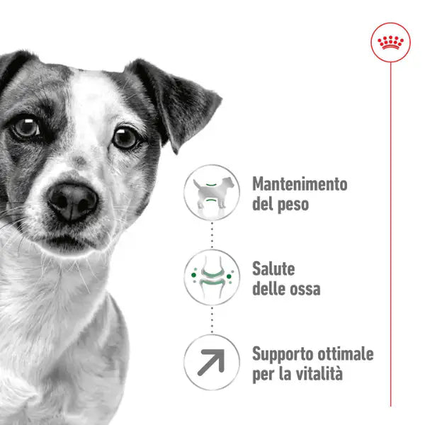 Royal Canin Mini Adult 8+   bauzaarit.myshopify.com