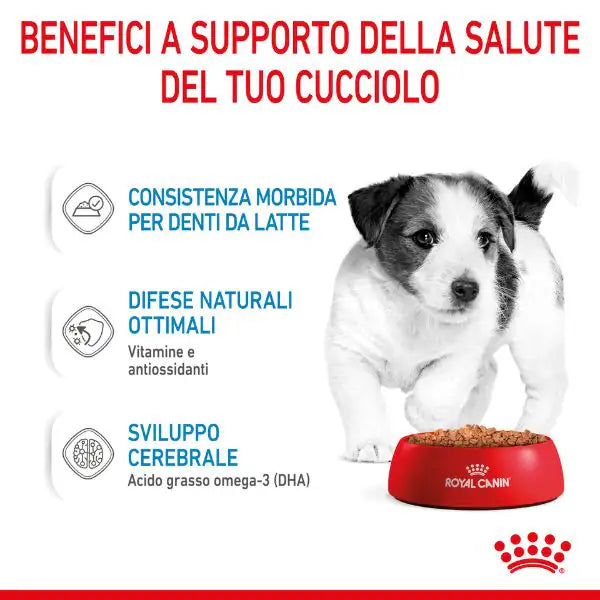 Royal Canin Puppy Umido   bauzaarit.myshopify.com