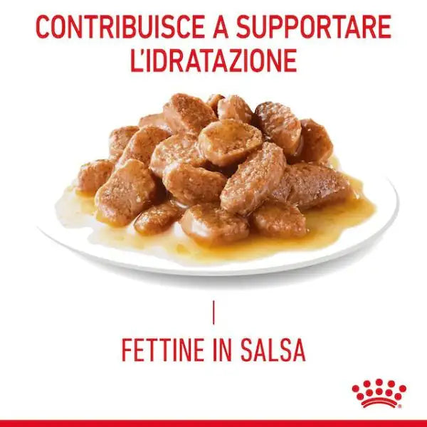 Royal Canin Urinary Care in Salsa   bauzaarit.myshopify.com