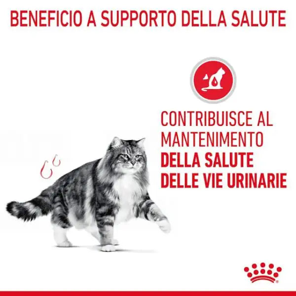 Royal Canin Urinary Care in Salsa   bauzaarit.myshopify.com