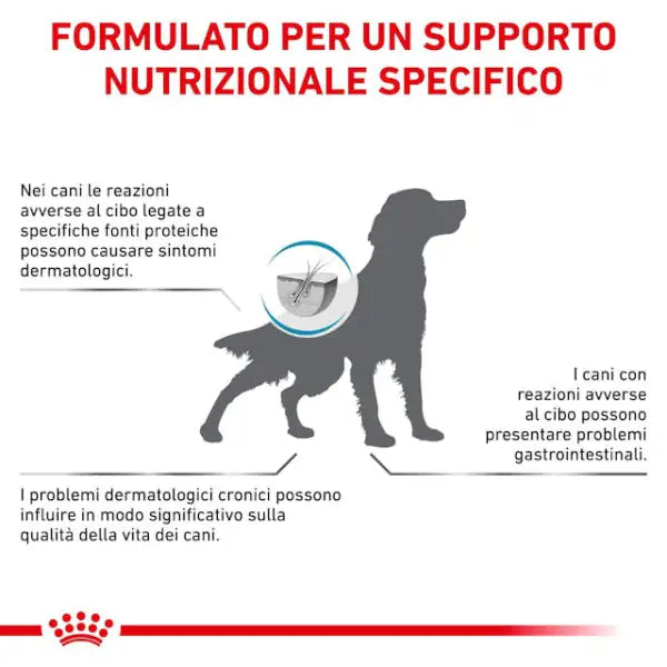 Royal Canin Veterinary Diet Anallergenic   bauzaarit.myshopify.com
