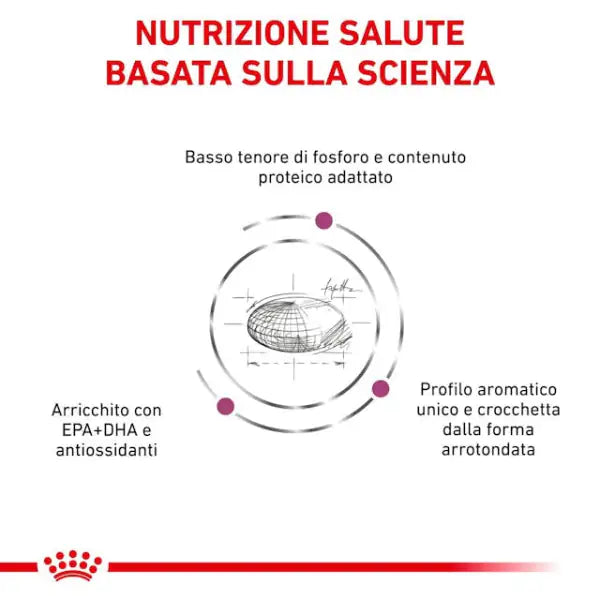 Royal Canin Veterinary Diet Cat Renal   bauzaarit.myshopify.com