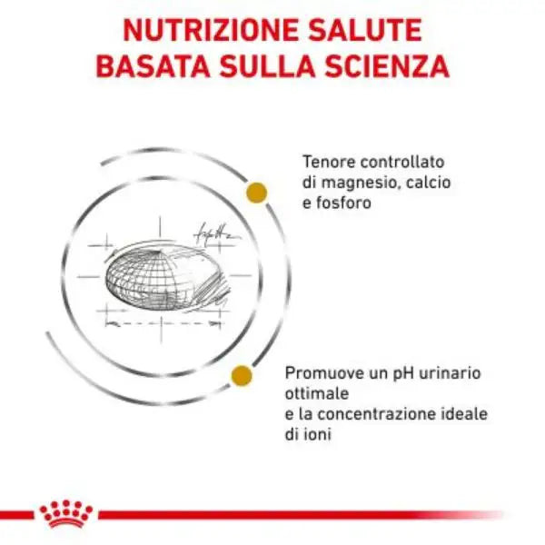 Royal Canin Veterinary Diet Feline Urinary S/O   bauzaarit.myshopify.com