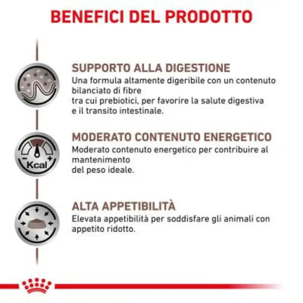 Royal Canin Veterinary Diet Gastrointestinal Moderate Calorie Feline   bauzaarit.myshopify.com