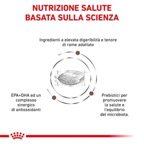 Royal Canin Veterinary Diet Hepatic   bauzaarit.myshopify.com