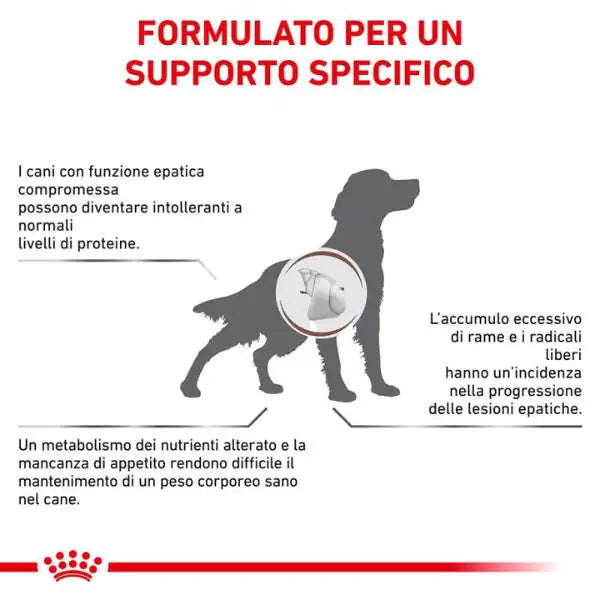 Royal Canin Veterinary Diet Hepatic   bauzaarit.myshopify.com