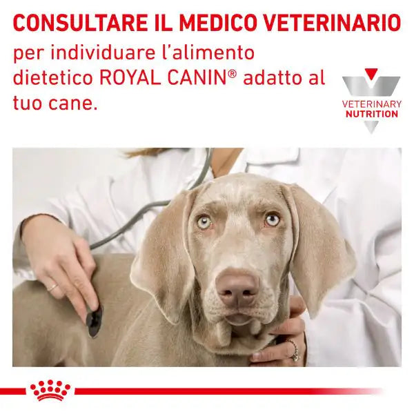 Royal Canin Veterinary Diet Hypoallergenic Small Dog   bauzaarit.myshopify.com