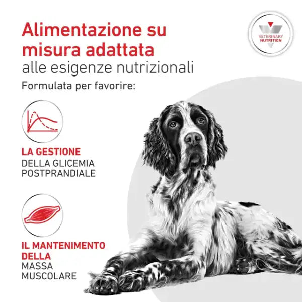 Royal Canin Veterinary Diets Glycobalance Low Carbohydrate Umido Cane   bauzaarit.myshopify.com