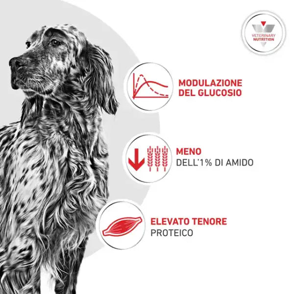 Royal Canin Veterinary Diets Glycobalance Low Carbohydrate Umido Cane   bauzaarit.myshopify.com