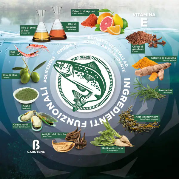 Salmoil olio di salmone per cani e gatti Benessere Renale   bauzaarit.myshopify.com