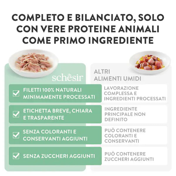 Schesir Cat Soft Adult filetti in gelatina alimento completo lattina 85 gr   bauzaarit.myshopify.com