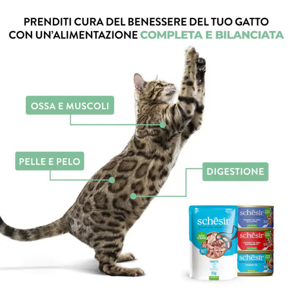 Schesir Cat Soft Adult filetti in gelatina alimento completo lattina 85 gr   bauzaarit.myshopify.com