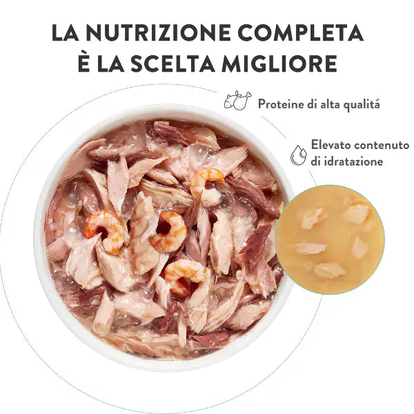 Schesir Cat Soft Adult filetti in gelatina alimento completo lattina 85 gr   bauzaarit.myshopify.com